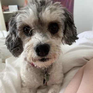 Meet your Posher, Kimberley